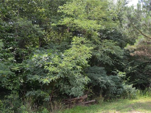 Lot 00 Ponderosa Road , Stoneville, NC 27048