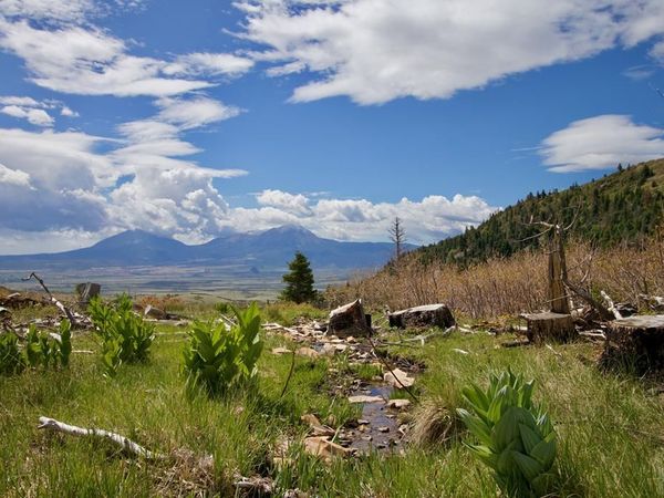 Tres Valles West #36, La Veta, CO 81055