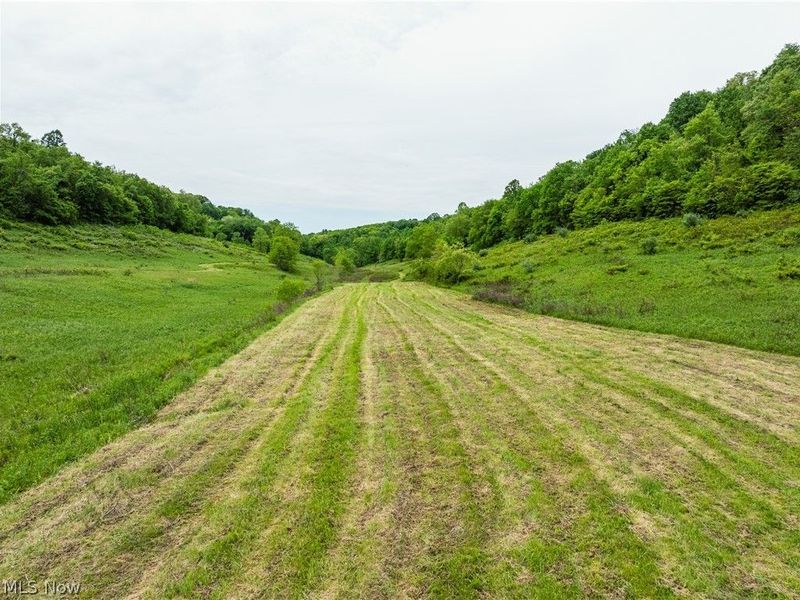 6587 Barkley Road, Uhrichsville, OH 44683 Photo 10