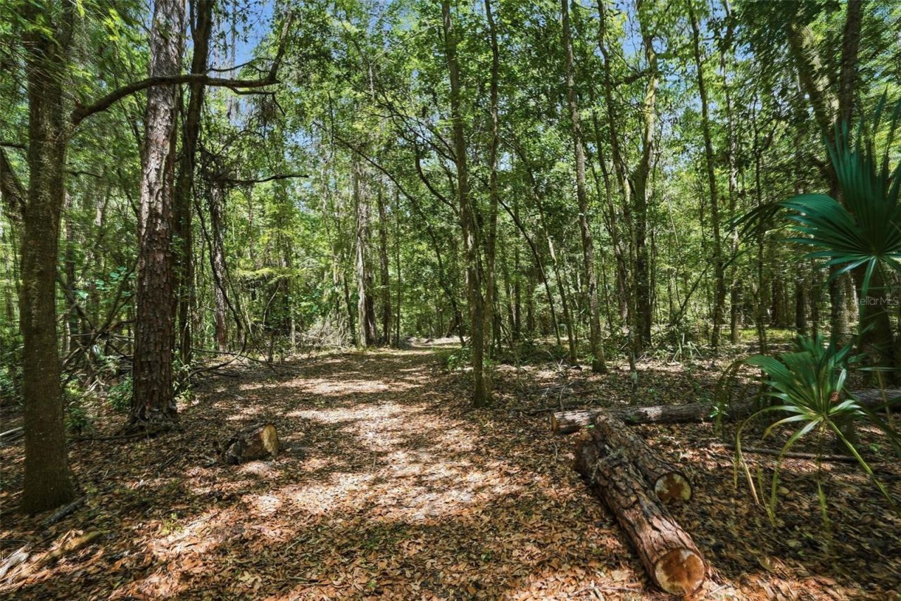 24050 Winding Creek Drive, Brooksville, FL 34601 Photo