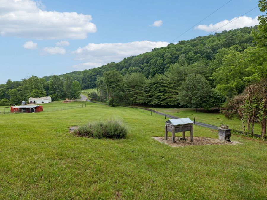 Property Image 62