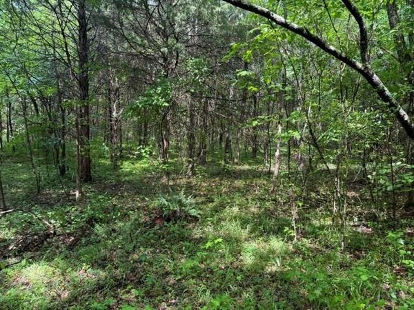 07 Teeters Rd, Morrison, TN 37357