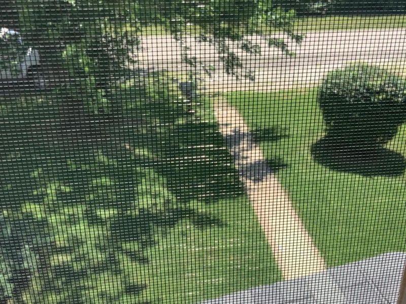 784 Elwood Avenue, Columbus, OH 43207 Photo 9