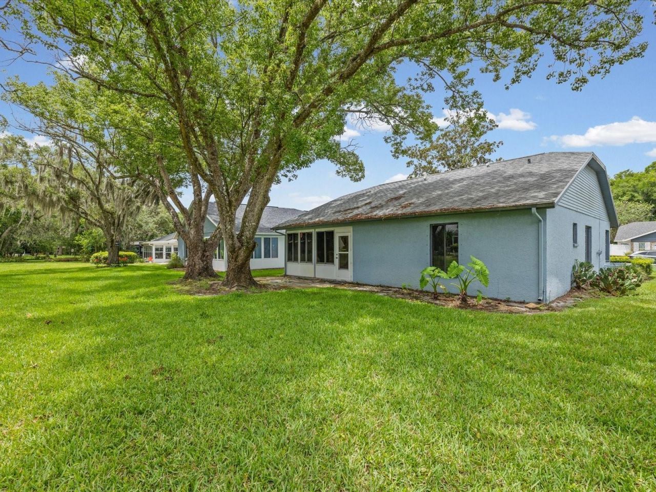 11614 Rose Tree Drive , New Port Richey, FL 34654 Photo