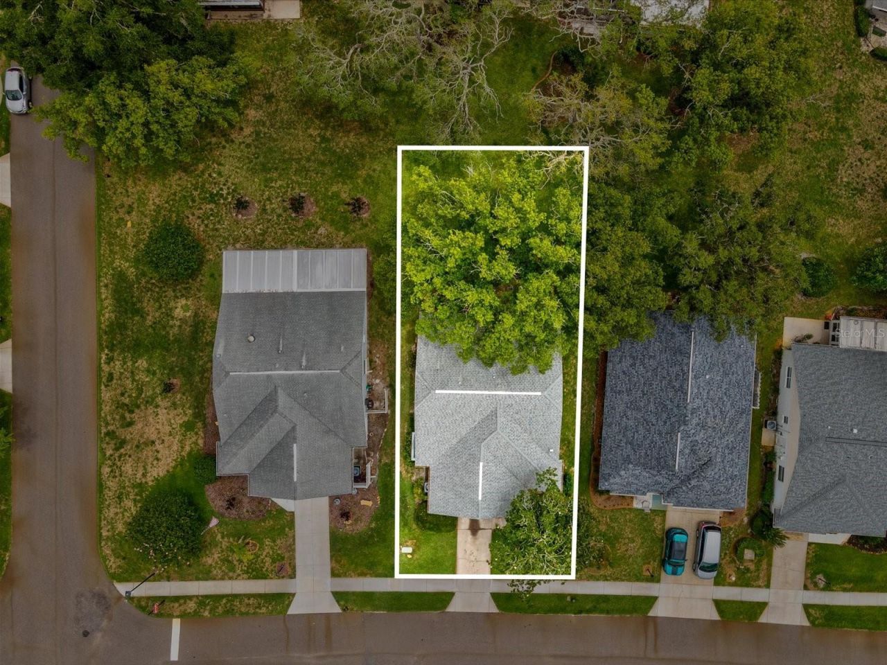 11614 Rose Tree Drive , New Port Richey, FL 34654 Photo