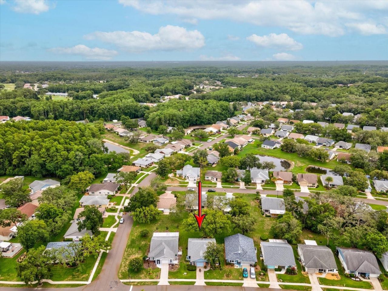 11614 Rose Tree Drive , New Port Richey, FL 34654 Photo