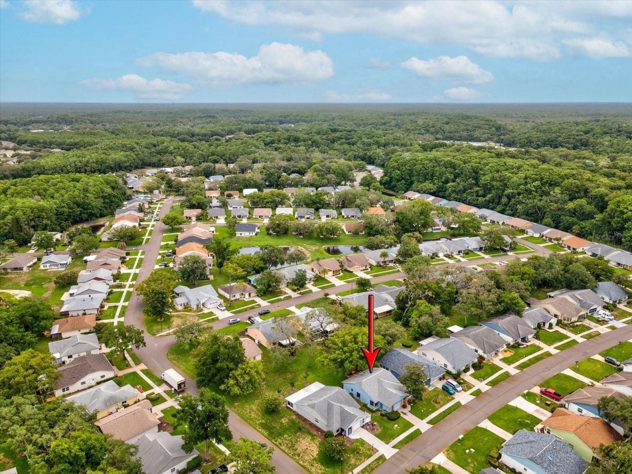 11614 Rose Tree Drive , New Port Richey, FL 34654 Photo