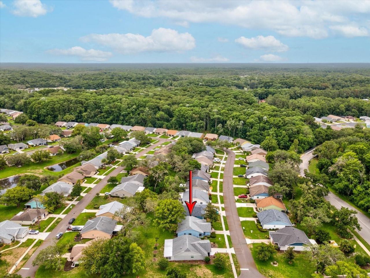 11614 Rose Tree Drive , New Port Richey, FL 34654 Photo