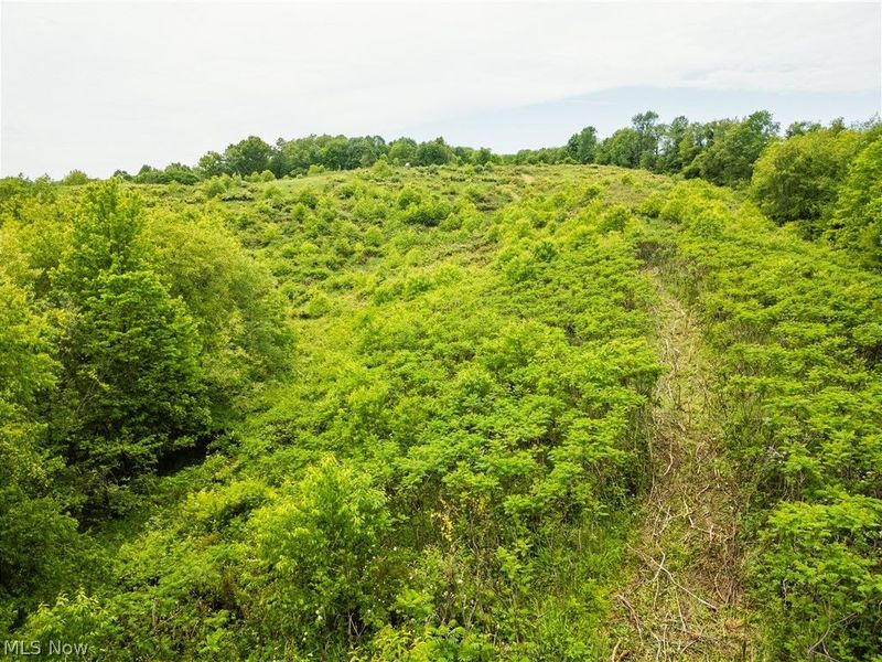 Barkley Rd Road , Uhrichsville, OH 44683 Photo 6