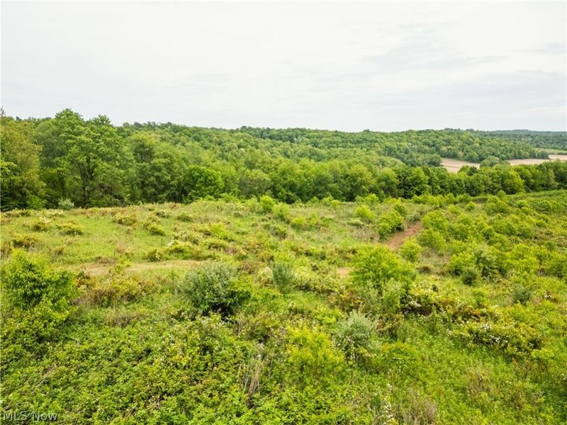 Barkley Road , Uhrichsville, OH 44683 Photo 1
