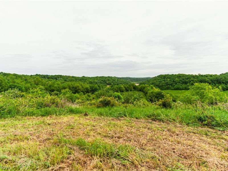 Barkley Road , Uhrichsville, OH 44683 Photo 10