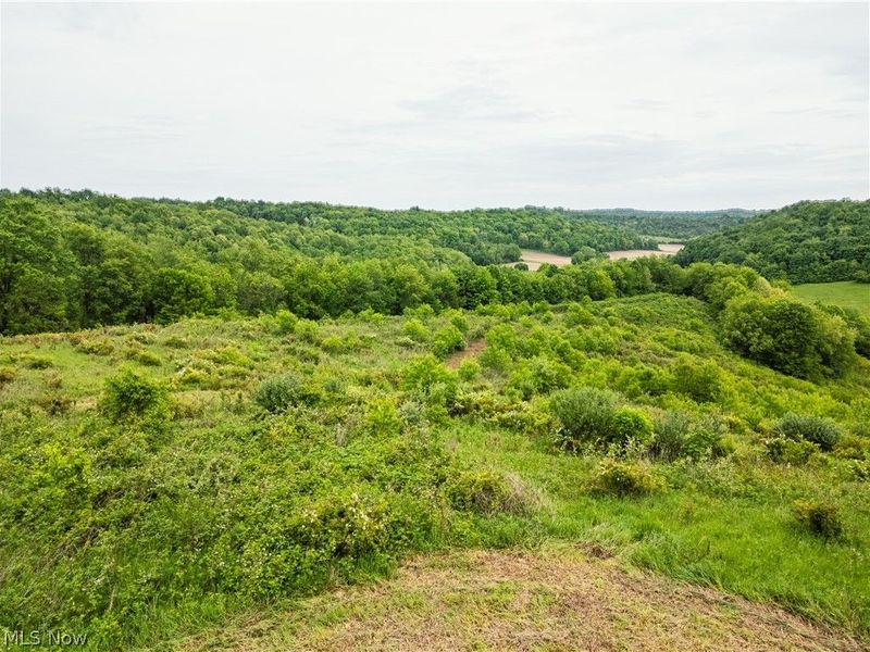 Barkley Road , Uhrichsville, OH 44683 Photo 8