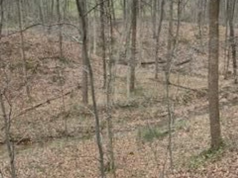 7929 N State Route 664 N, Logan, OH 43138 Photo 72