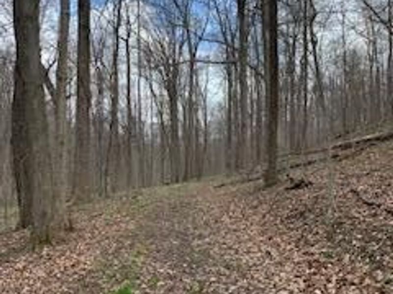 7929 N State Route 664 N, Logan, OH 43138 Photo 74
