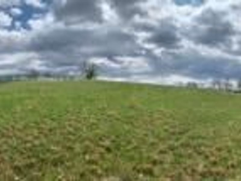 7929 N State Route 664 N, Logan, OH 43138 Photo 77