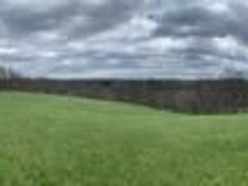7929 N State Route 664 N, Logan, OH 43138 Photo 78