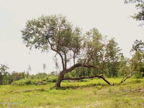 24.48ac River Road, Lucedale, MS 39452