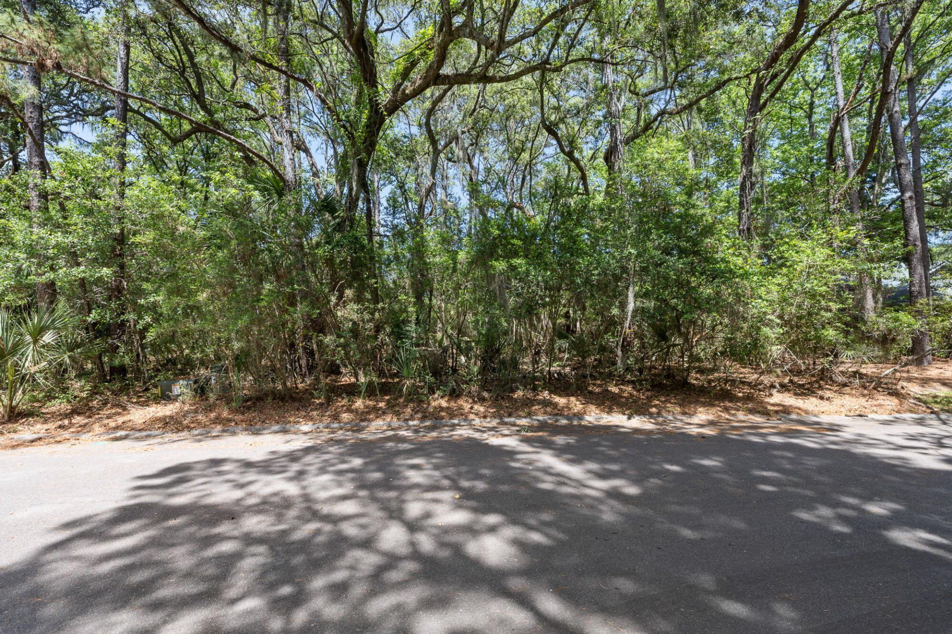 2714 Old Forest Drive Photo 5