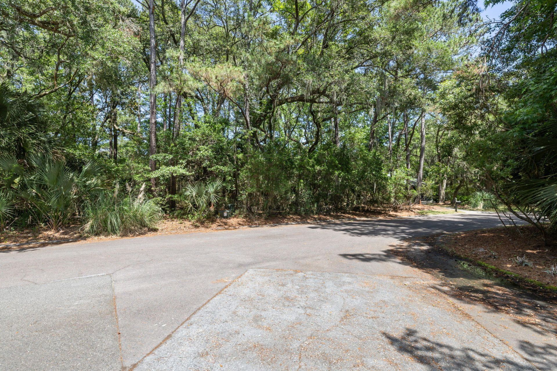 2714 Old Forest Drive Photo 6