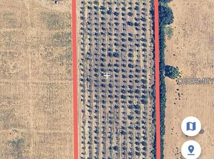 Obermeyer Ave, Gridley, CA 95948 Photo