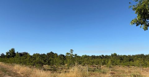 Obermeyer Ave, Gridley, CA 95948 Photo