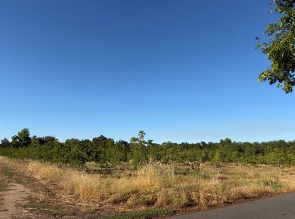 Obermeyer Ave, Gridley, CA 95948 Photo