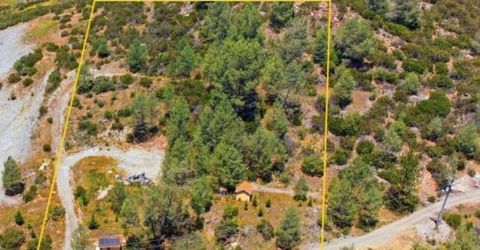 4647 Summer Stream Ln, Placerville, CA 95667 Photo