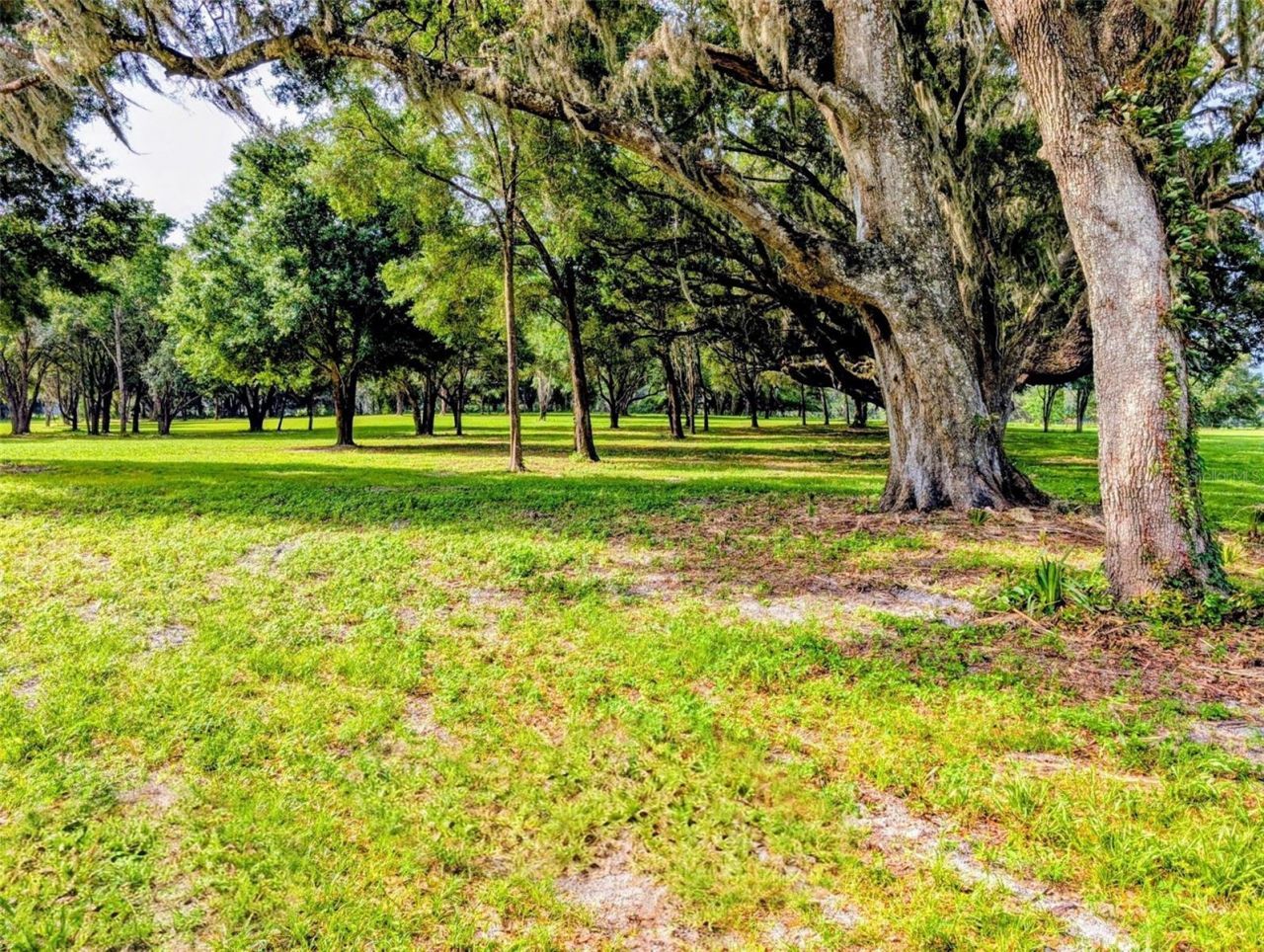 10660 E Bushnell Road, Floral City, FL 34436 Photo