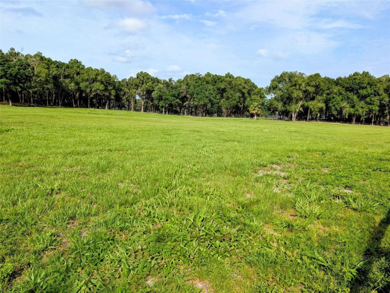 10660 E Bushnell Road, Floral City, FL 34436 Photo