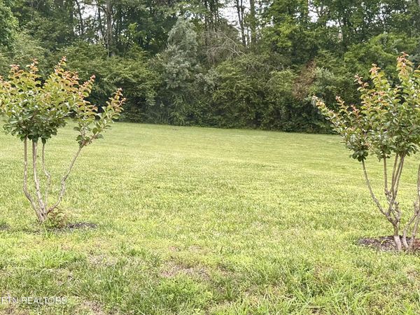 208 Mingo Way, Loudon, TN 37774