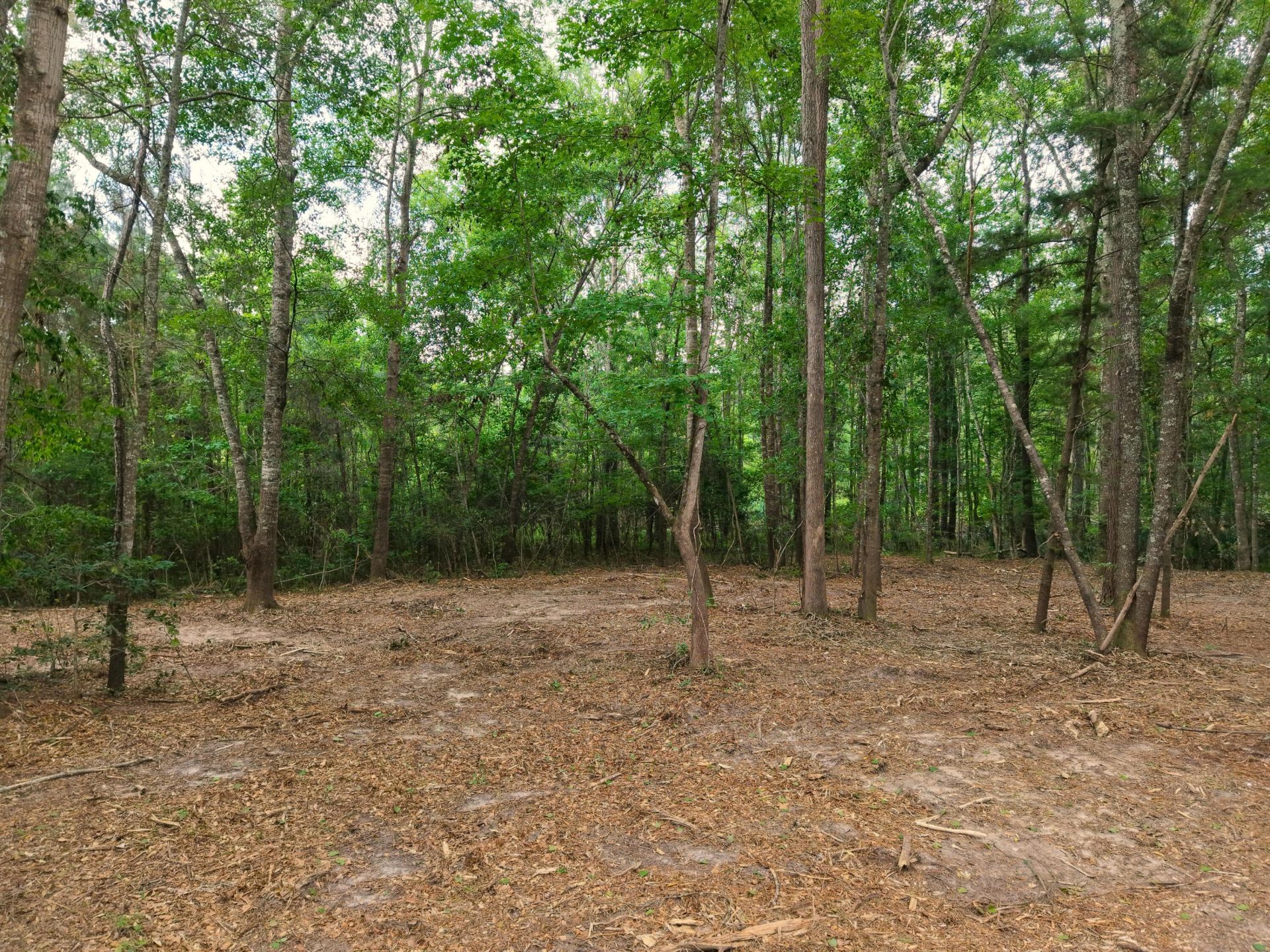 0000 Hickory Hill Road Photo 10