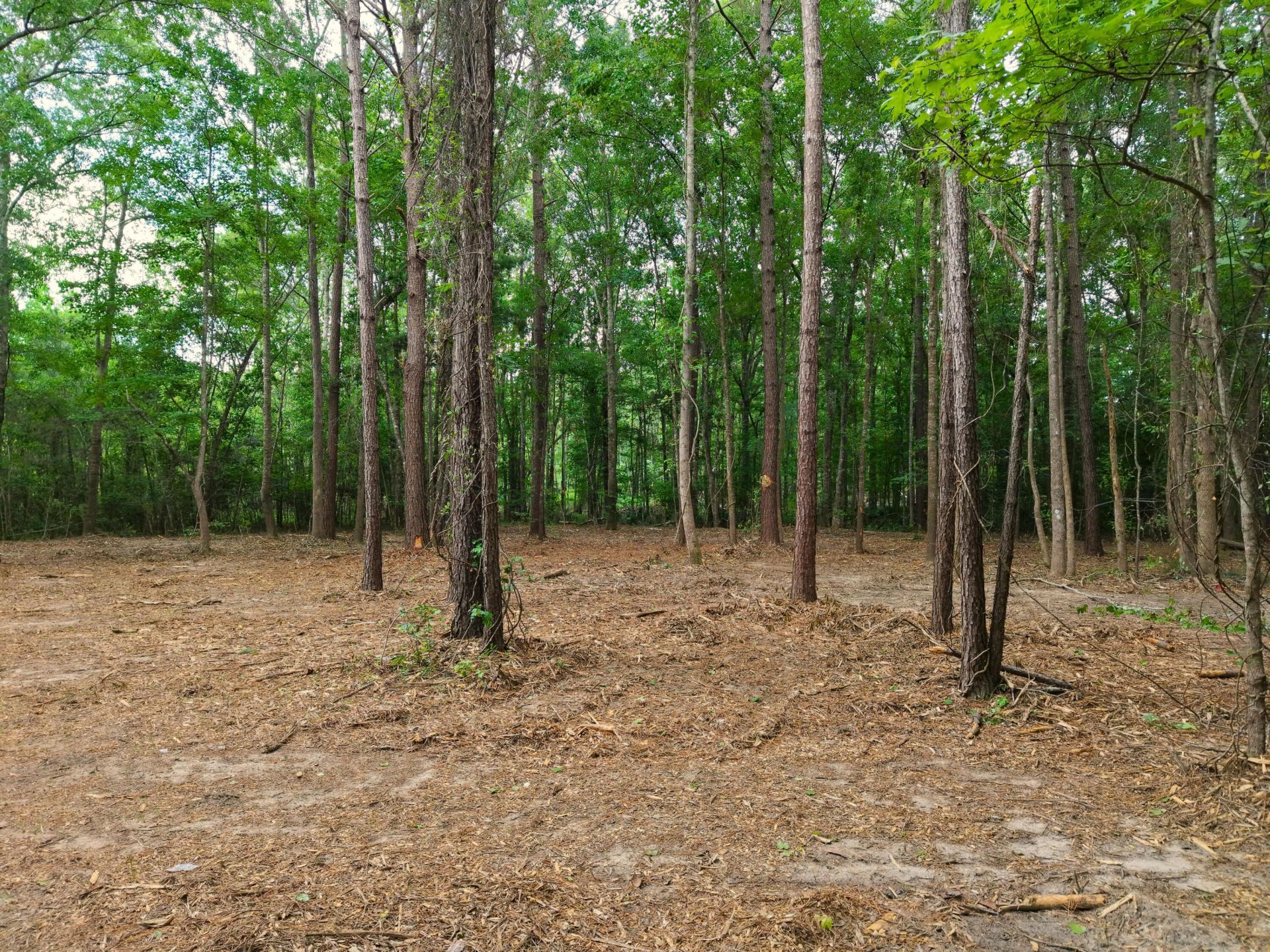 0000 Hickory Hill Road Photo 11
