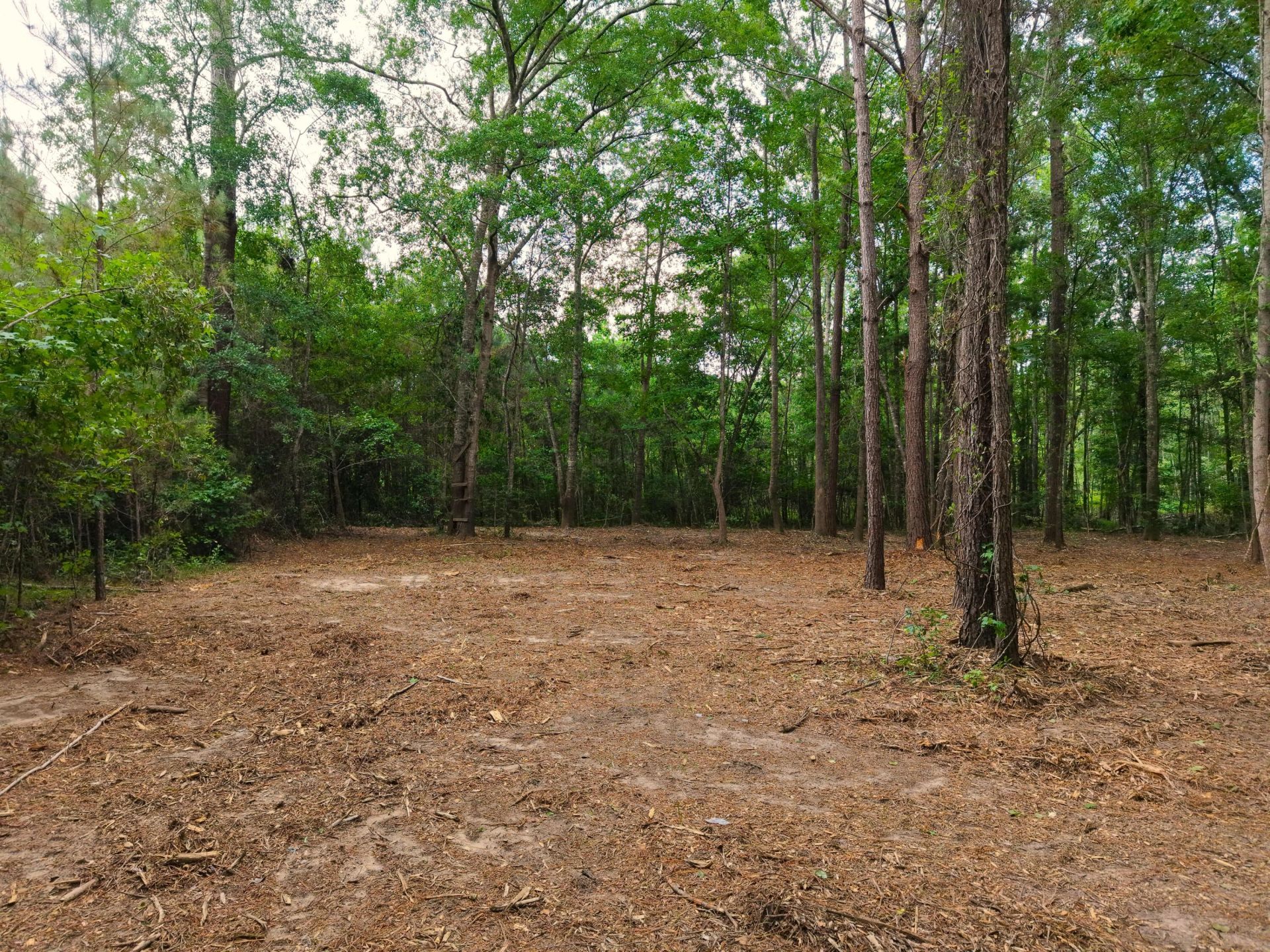 0000 Hickory Hill Road Photo 12
