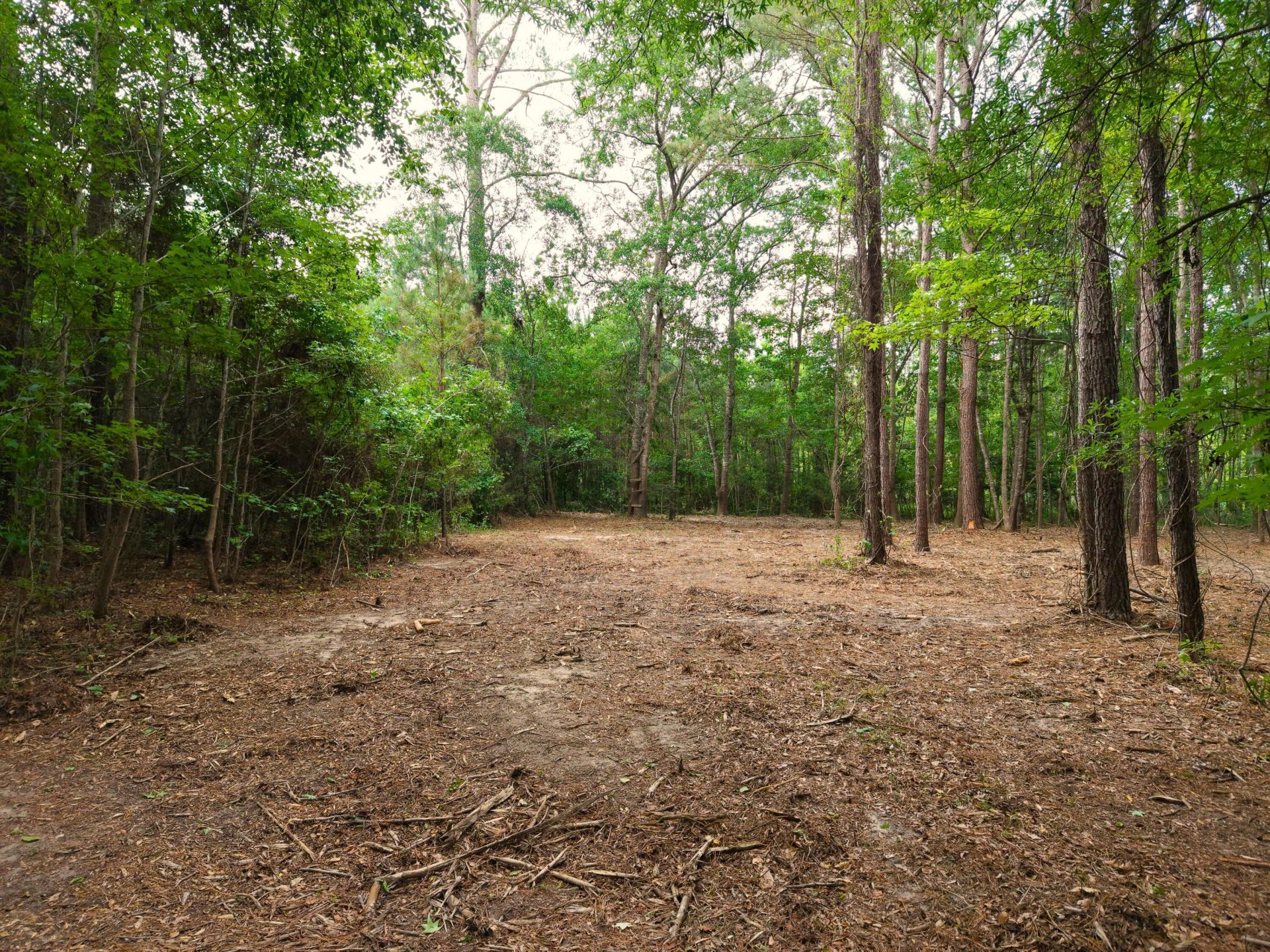 0000 Hickory Hill Road Photo 14
