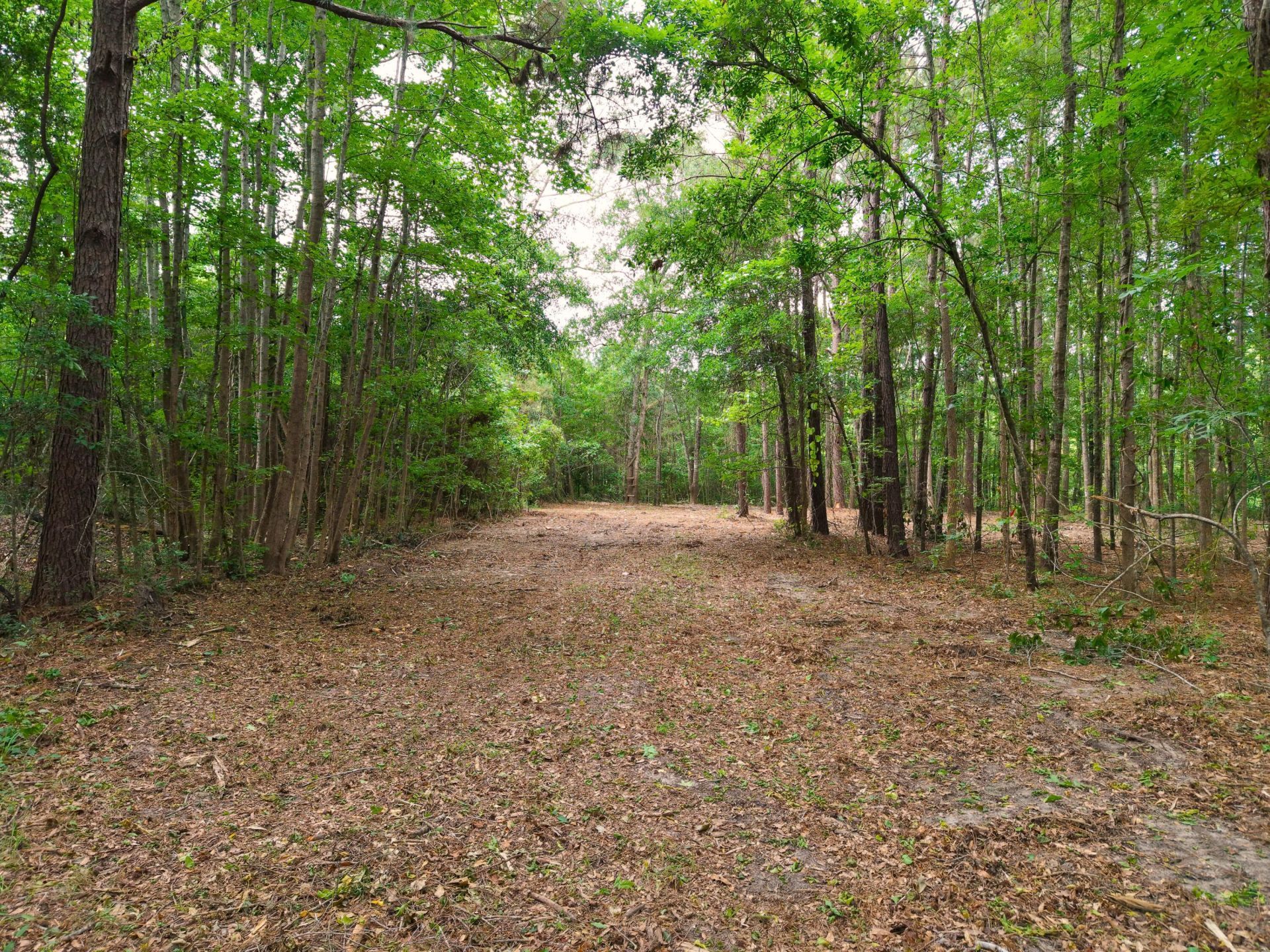 0000 Hickory Hill Road Photo 15