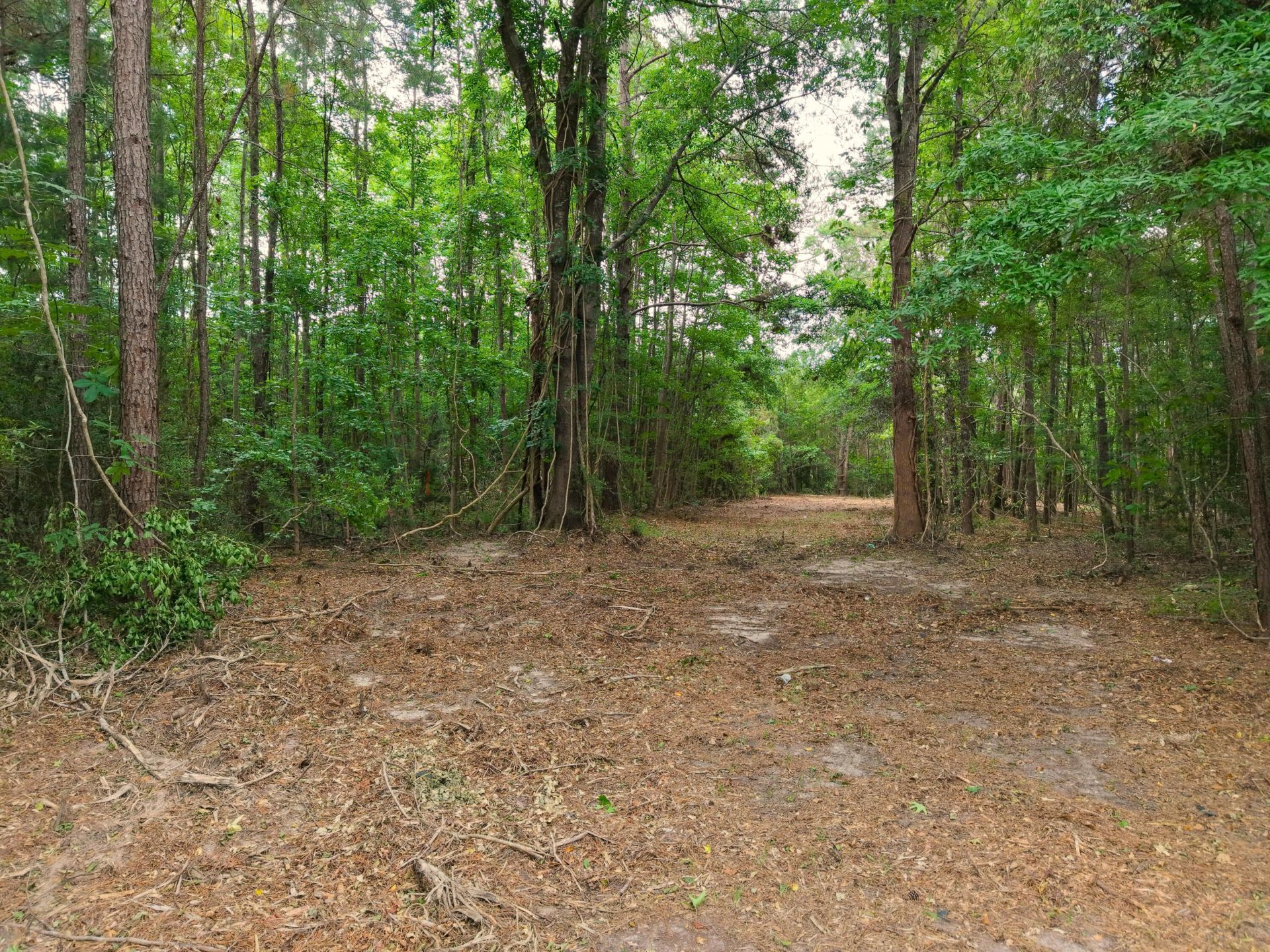 0000 Hickory Hill Road Photo 16