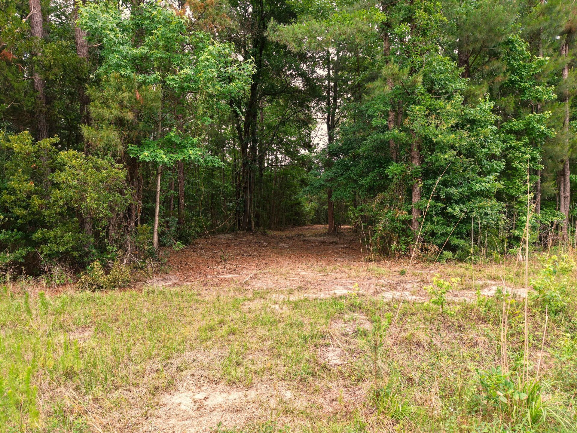 0000 Hickory Hill Road Photo 17
