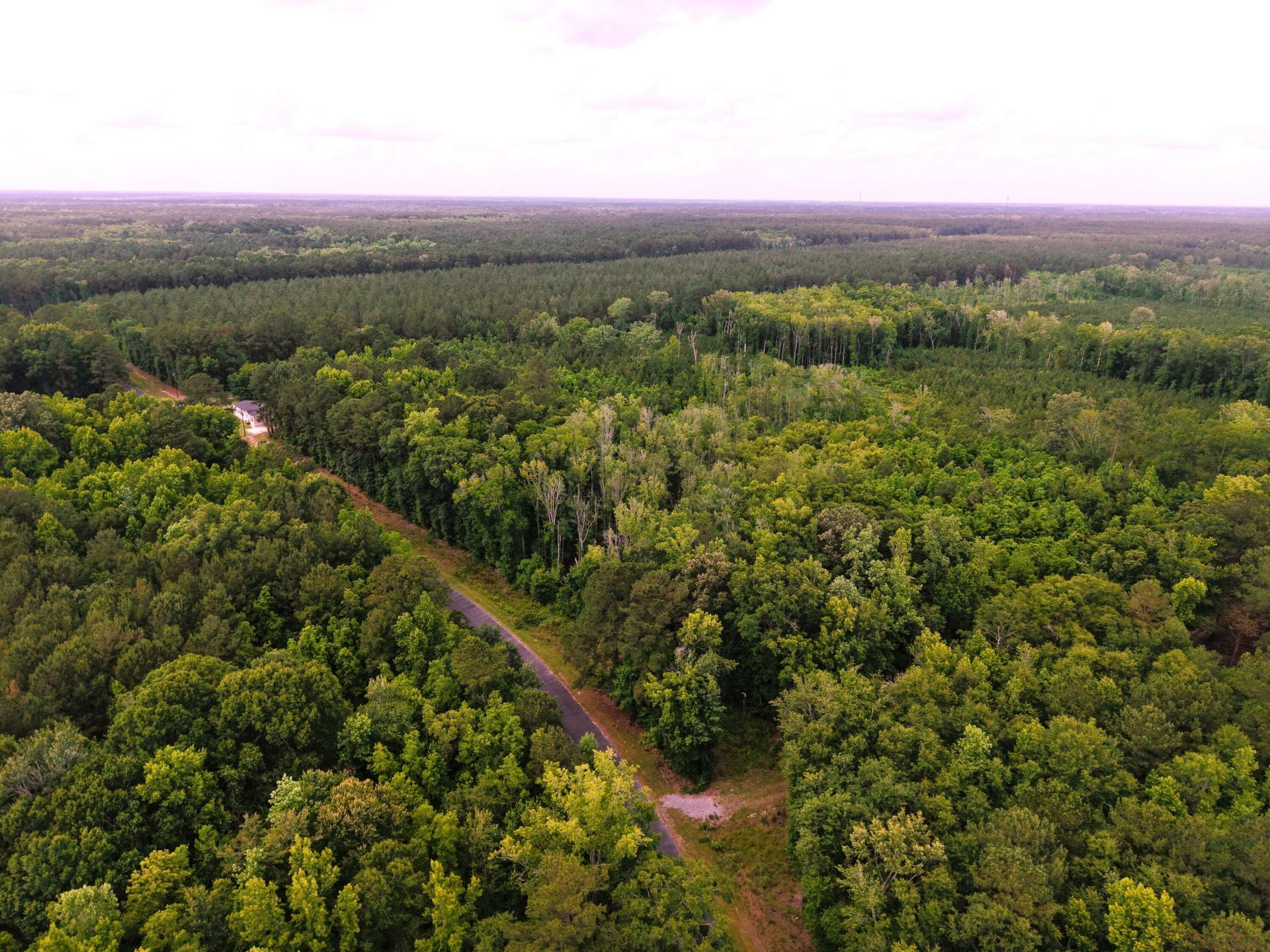 0000 Hickory Hill Road Photo 6
