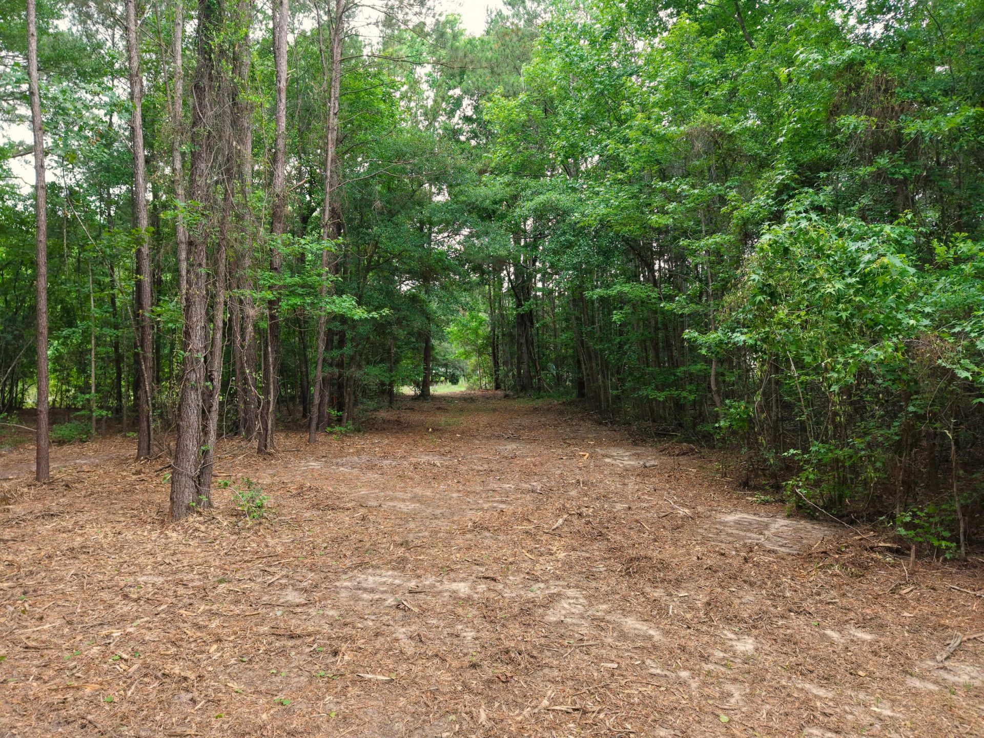 0000 Hickory Hill Road Photo 9