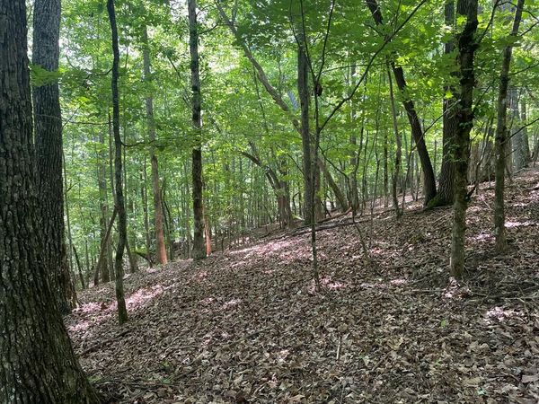Lot 11 Brumby Run, Blairsville, GA 30512