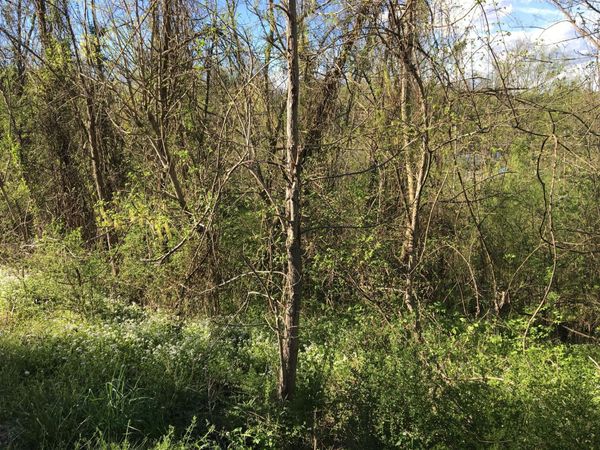 0 Main Street W, Hartsville, TN 37074