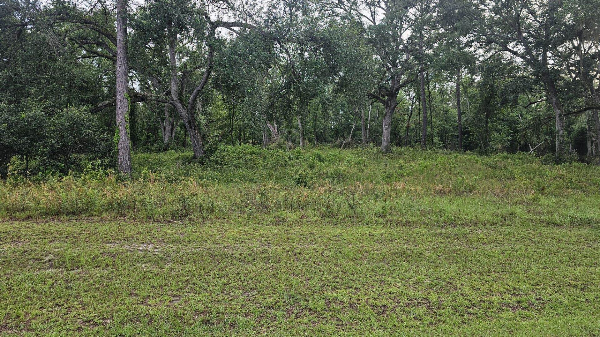 Ne Oakwood Way, Madison, FL 32350 Photo