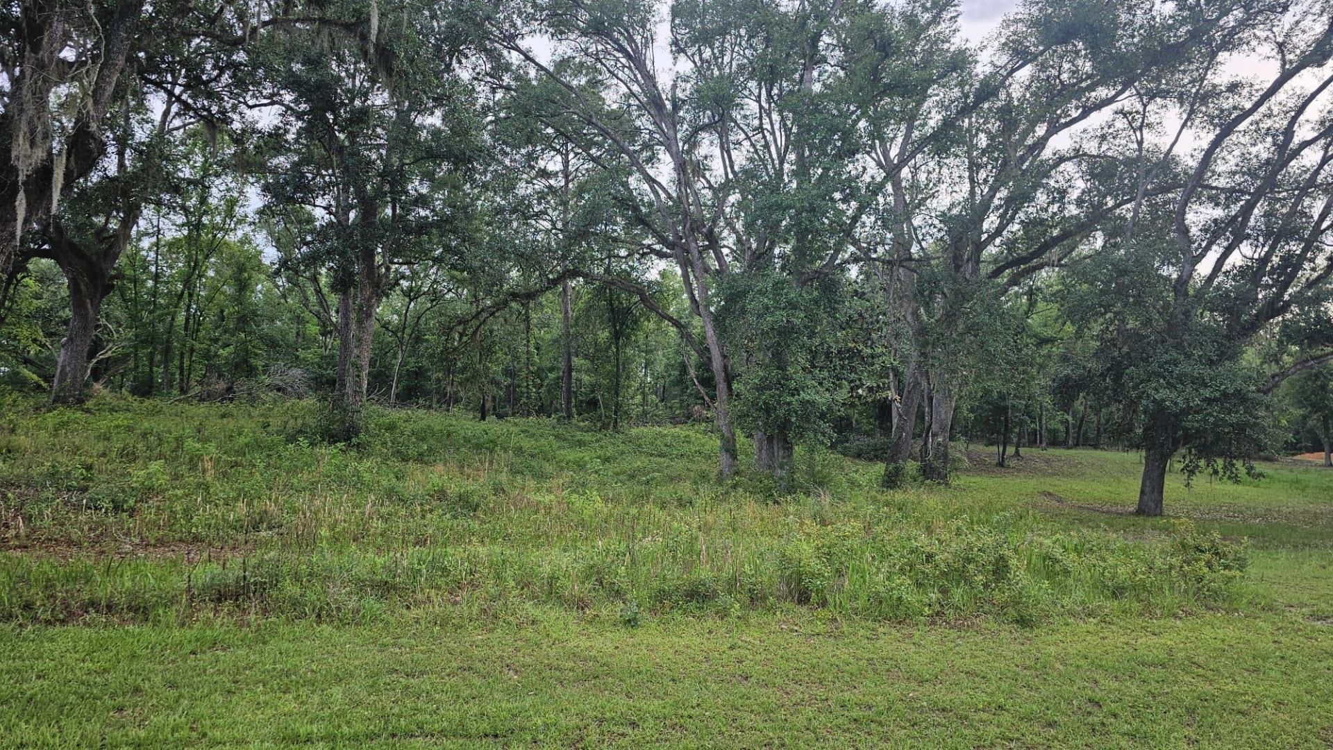 Ne Oakwood Way, Madison, FL 32350 Photo