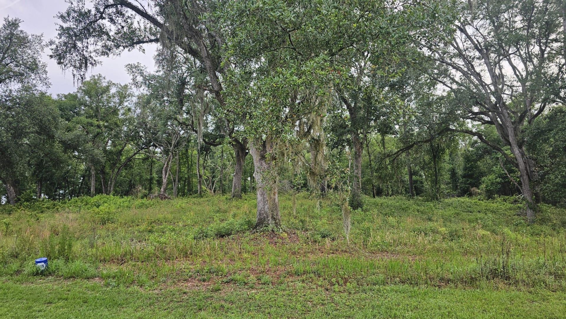 Ne Oakwood Way, Madison, FL 32350 Photo
