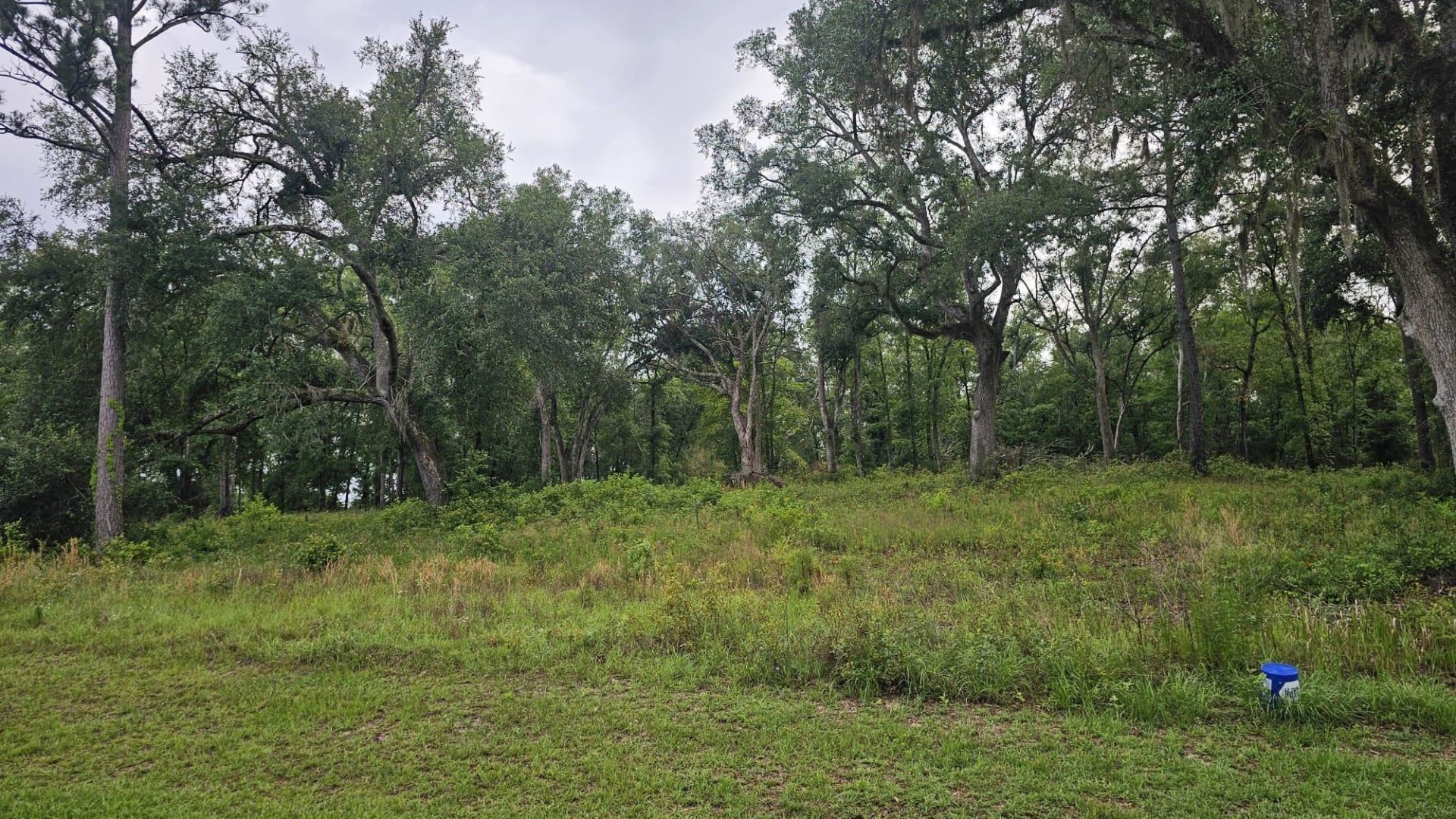 Ne Oakwood Way, Madison, FL 32350 Photo