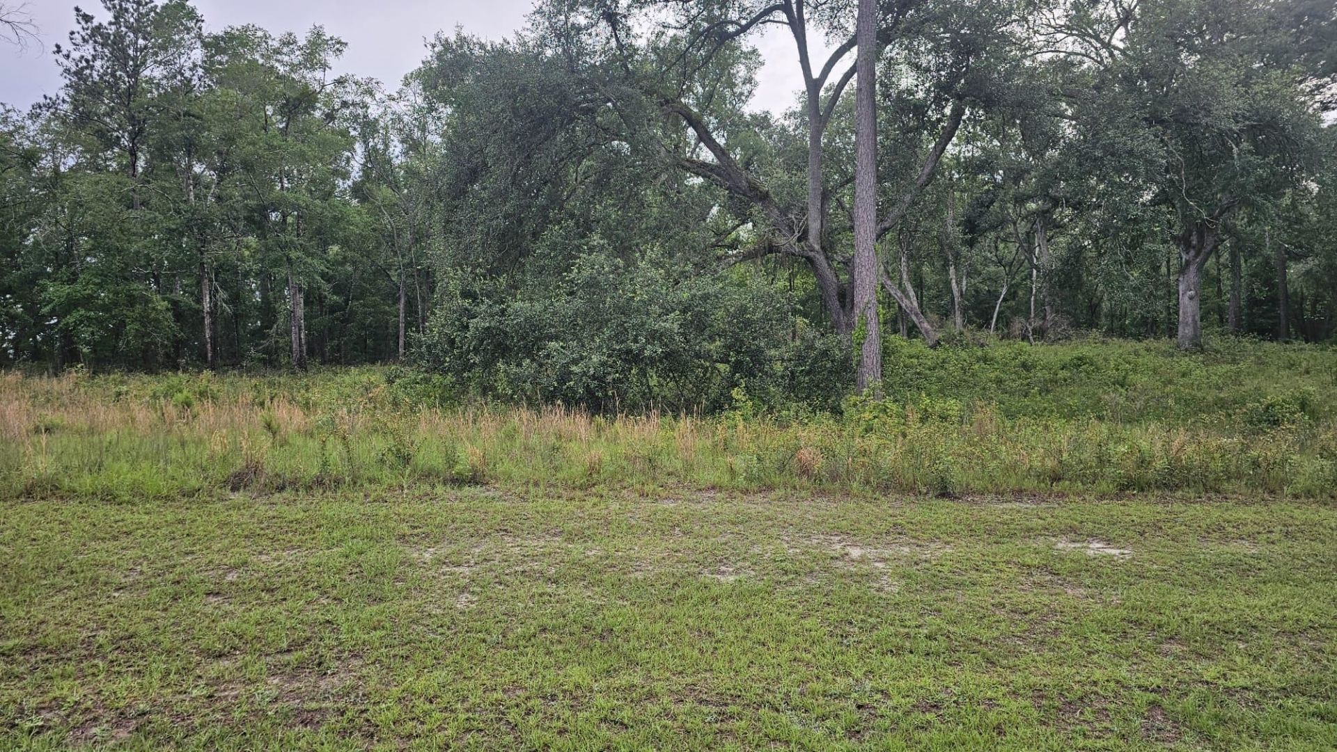 Ne Oakwood Way, Madison, FL 32350 Photo