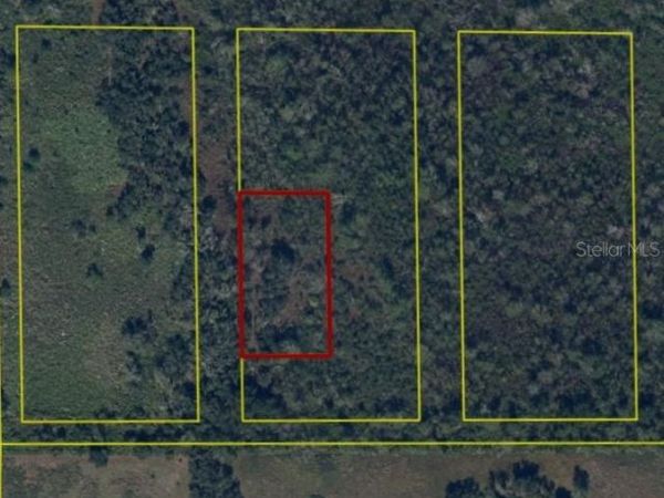 SW PABLO AVENUE , ARCADIA, FL 34266