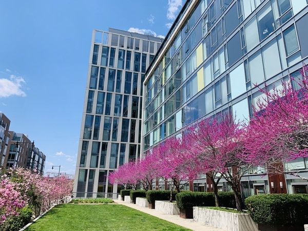 2 Earhart, Unit 1006, Cambridge, MA 02141