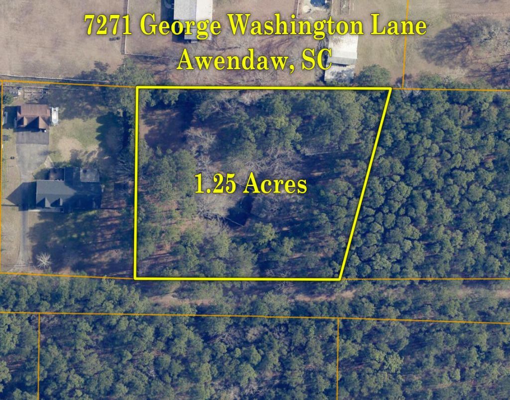 7271 George Washington Lane Photo 31