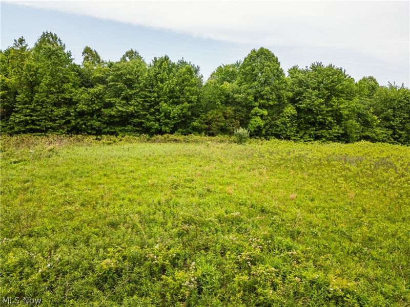 Edie Hill Road Road , Uhrichsville, OH 44683 Photo 3